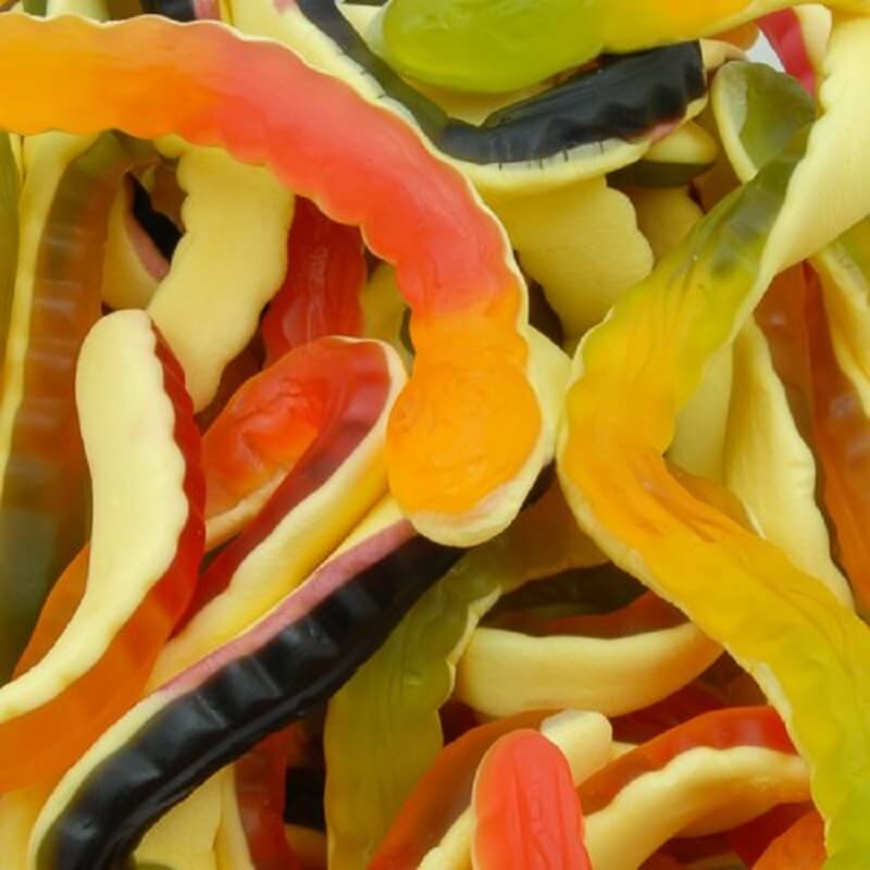 Yellow Belly Snakes - Image 2